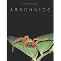 Arachnids