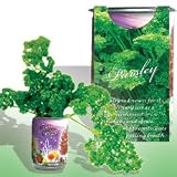 The Patent Magic Herb- Parsley