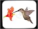 Mouse Pad with feeding, hummingbird, flower, bird, nectar