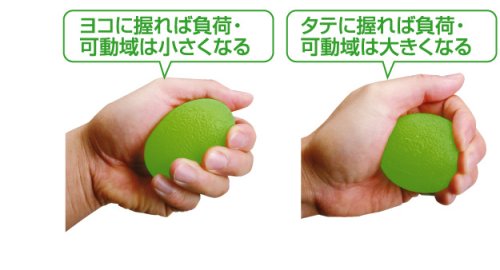 Cover image : 秦運動具工業 セラピーエッグ ミディアム グリーン TCE108M