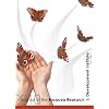 Journal of the Rosacea Research & Development Institute: Volume 1 Number 1, 2010