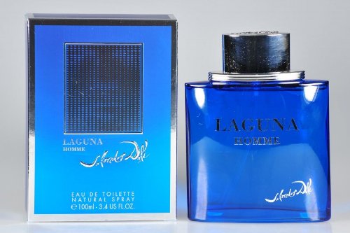 Salvador Dali Laguna Homme 100 ml Eau de Toilette Preisvergleich