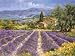 lavender lilt sugar