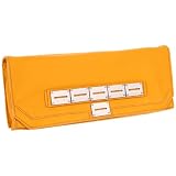 metal frame clutch tutorial botkier  Evans Clutch