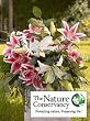 The Nature Conservancy Lilies + Vase