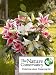 The Nature Conservancy Lilies + Vase