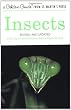 Insects: Revised and Updated (Golden Guide)