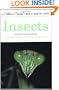 Insects: Revised and Updated (Golden Guide)