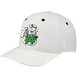 Zephyr Notre Dame Fighting Irish White Flurry Fitted Hat