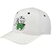 Zephyr Notre Dame Fighting Irish White Flurry Fitted Hat