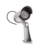 Silver Dummy Indoor/Outdoor Surveillance Camera