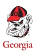 University of Georgia Bulldogs Flag - Garden Size