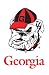 University of Georgia Bulldogs Flag - Garden Size