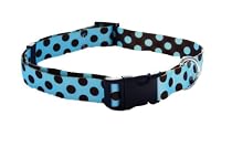 Blue w/Brown Dots Collar