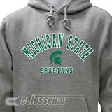 Michigan State Campus Yard Hooded Sweatshirt