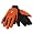 Virginia Cavaliers