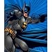 Plush Royal Raschel Warner Brothers Batman Punch Throw
