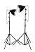 500 Watts Continuous Light Kit