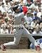 Albert Pujols St. Louis Cardinals 8x10 Photo