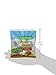 Seitenbacher Strawberry Alligator Gummi Fruit, 3 -Ounce Bags (Pack of 10)