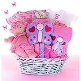 Baby Butterfly Kisses Gift Basket