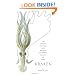 Kraken: The Curious, Exciting, and Slightly Disturbing Science of Squid