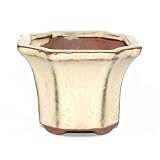 7cm Square Glazed Accent or Cacti Pot