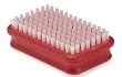 Nylon All-Around Brush by Swix