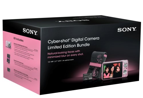 Sony Cybershot DSC-S980 12MP Digital Camera with 4x Optical Zoom with Super Steady Shot Image Stabilization with Case and 2GB Memory Stick (Pink)