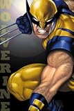 X-Men Wolverine Snarl Magnet M-XM-0008