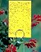 Tools & Hardware : Garden Insect Traps - Large Yellow Sticky Traps (set of 3 holders, 5 strips)