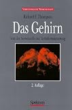 Das Gehirn: Von der Nervenzelle zur Verhaltenssteuerung - Richard F Thompson