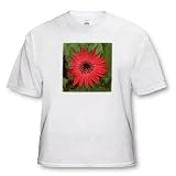 Flowers - Red Gerber - T-Shirts
