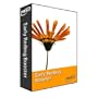 Early Reading Booster ( Grades 2 through 3 ): Home Version