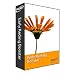 Early Reading Booster Software (For 2nd and 3rd Grade):with Personalized Feedback and Built-in Student Progress Reporting - Home Version