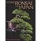 Learn the Care and Feeding of Bonsai