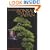 Classic Bonsai of Japan