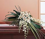 Teleflora's White Orchid Spray