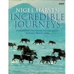 Incredible Journeys: Featuring the World's Greatest Animal Travellers