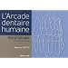 L'arcade dentaire humaine : Morphologie
