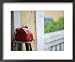 Private Pay Phone, Goa, India Framed Art Poster Print by Walter Bibikow, 22x18