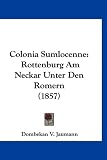 Colonia Sumlocenne: Rottenburg Am Neckar Unter Den Romern (1857)