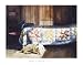 (22x28) Mark Stewart Dog Nap Art Print Poster