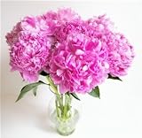 Fragrant Bright Pink Double Peonies Fresh Flower Bouquet