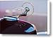 1933 Pontiac Hood Ornament Canvas Print / Canvas Art - Artist Jill Reger