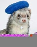 Marshall Ferret Beret, Black