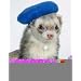 Marshall Ferret Cap, Black Beret