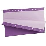Hanging Folder, 1/5 Tab Cut, Legal Size, Violet, Sold as 1 box