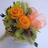 �y�z���C�g�f�[�z�W�����G�b�g�@juriet�@�I�[�����C�G���[�i�v���U�[�u�h�t�����[�j�A�����W�����g�i���َq�t���j�y���j���E�L�O���E�a�����E�t�����[�M�t�g�E�o���z