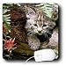 Wild animals - Bobcat - Mouse Pads